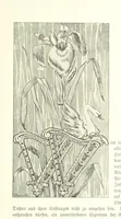 An illustration from Schleswig-Holstein meerumschlungen in Wort und Bild ... Herausgegeben von H. Haas, H. Krumm und F. Stoltenberg, etc (1896)