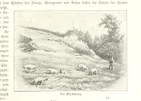 An illustration from Schleswig-Holstein meerumschlungen in Wort und Bild ... Herausgegeben von H. Haas, H. Krumm und F. Stoltenberg, etc (1896)