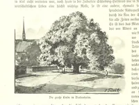 An illustration from Schleswig-Holstein meerumschlungen in Wort und Bild ... Herausgegeben von H. Haas, H. Krumm und F. Stoltenberg, etc (1896)