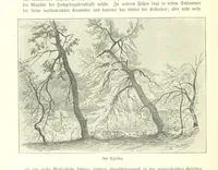 An illustration from Schleswig-Holstein meerumschlungen in Wort und Bild ... Herausgegeben von H. Haas, H. Krumm und F. Stoltenberg, etc (1896)