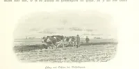An illustration from Schleswig-Holstein meerumschlungen in Wort und Bild ... Herausgegeben von H. Haas, H. Krumm und F. Stoltenberg, etc (1896)