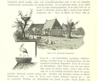 An illustration from Schleswig-Holstein meerumschlungen in Wort und Bild ... Herausgegeben von H. Haas, H. Krumm und F. Stoltenberg, etc (1896)