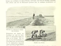 An illustration from Schleswig-Holstein meerumschlungen in Wort und Bild ... Herausgegeben von H. Haas, H. Krumm und F. Stoltenberg, etc (1896)