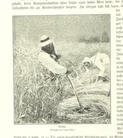 An illustration from Schleswig-Holstein meerumschlungen in Wort und Bild ... Herausgegeben von H. Haas, H. Krumm und F. Stoltenberg, etc (1896)