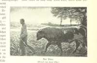 An illustration from Schleswig-Holstein meerumschlungen in Wort und Bild ... Herausgegeben von H. Haas, H. Krumm und F. Stoltenberg, etc (1896)