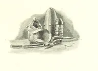 An illustration from Schleswig-Holstein meerumschlungen in Wort und Bild ... Herausgegeben von H. Haas, H. Krumm und F. Stoltenberg, etc (1896)