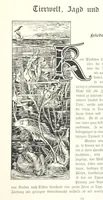 An illustration from Schleswig-Holstein meerumschlungen in Wort und Bild ... Herausgegeben von H. Haas, H. Krumm und F. Stoltenberg, etc (1896)
