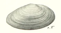 An illustration from Schleswig-Holstein meerumschlungen in Wort und Bild ... Herausgegeben von H. Haas, H. Krumm und F. Stoltenberg, etc (1896)