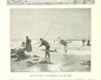 An illustration from Schleswig-Holstein meerumschlungen in Wort und Bild ... Herausgegeben von H. Haas, H. Krumm und F. Stoltenberg, etc (1896)
