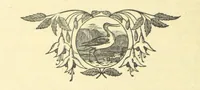 An illustration from The Wednesbury Papers. [Reprinted from the “Wednesbury Herald” and the “Midland Advertiser.” (1884)