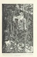 Picture 4 of 25 from Montezuma's Daughter. [With illustrations (1893), leaf 47