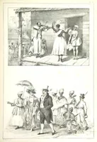 An illustration from Kolonisatie van Europeanen te Suriname. Opheffing van het pauperisme, ontwikkeling van handel en industrie, met ongeveer 90 platen (1872)