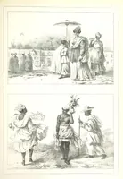 An illustration from Kolonisatie van Europeanen te Suriname. Opheffing van het pauperisme, ontwikkeling van handel en industrie, met ongeveer 90 platen (1872)