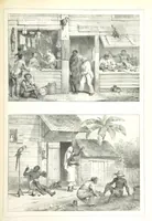An illustration from Kolonisatie van Europeanen te Suriname. Opheffing van het pauperisme, ontwikkeling van handel en industrie, met ongeveer 90 platen (1872)