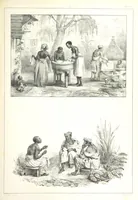 An illustration from Kolonisatie van Europeanen te Suriname. Opheffing van het pauperisme, ontwikkeling van handel en industrie, met ongeveer 90 platen (1872)
