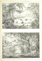 An illustration from Kolonisatie van Europeanen te Suriname. Opheffing van het pauperisme, ontwikkeling van handel en industrie, met ongeveer 90 platen (1872)