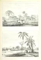An illustration from Kolonisatie van Europeanen te Suriname. Opheffing van het pauperisme, ontwikkeling van handel en industrie, met ongeveer 90 platen (1872)