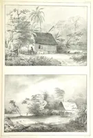 An illustration from Kolonisatie van Europeanen te Suriname. Opheffing van het pauperisme, ontwikkeling van handel en industrie, met ongeveer 90 platen (1872)