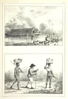 An illustration from Kolonisatie van Europeanen te Suriname. Opheffing van het pauperisme, ontwikkeling van handel en industrie, met ongeveer 90 platen (1872)