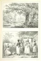 An illustration from Kolonisatie van Europeanen te Suriname. Opheffing van het pauperisme, ontwikkeling van handel en industrie, met ongeveer 90 platen (1872)