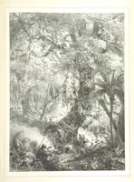 An illustration from Kolonisatie van Europeanen te Suriname. Opheffing van het pauperisme, ontwikkeling van handel en industrie, met ongeveer 90 platen (1872)