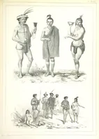 An illustration from Kolonisatie van Europeanen te Suriname. Opheffing van het pauperisme, ontwikkeling van handel en industrie, met ongeveer 90 platen (1872)