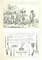 An illustration from Kolonisatie van Europeanen te Suriname. Opheffing van het pauperisme, ontwikkeling van handel en industrie, met ongeveer 90 platen (1872)