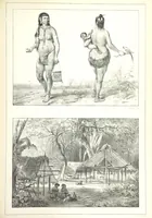 An illustration from Kolonisatie van Europeanen te Suriname. Opheffing van het pauperisme, ontwikkeling van handel en industrie, met ongeveer 90 platen (1872)