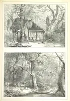 An illustration from Kolonisatie van Europeanen te Suriname. Opheffing van het pauperisme, ontwikkeling van handel en industrie, met ongeveer 90 platen (1872)