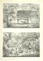 An illustration from Kolonisatie van Europeanen te Suriname. Opheffing van het pauperisme, ontwikkeling van handel en industrie, met ongeveer 90 platen (1872)