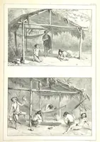 An illustration from Kolonisatie van Europeanen te Suriname. Opheffing van het pauperisme, ontwikkeling van handel en industrie, met ongeveer 90 platen (1872)