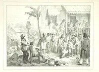 An illustration from Kolonisatie van Europeanen te Suriname. Opheffing van het pauperisme, ontwikkeling van handel en industrie, met ongeveer 90 platen (1872)