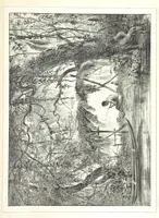 An illustration from Kolonisatie van Europeanen te Suriname. Opheffing van het pauperisme, ontwikkeling van handel en industrie, met ongeveer 90 platen (1872)