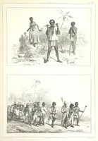 An illustration from Kolonisatie van Europeanen te Suriname. Opheffing van het pauperisme, ontwikkeling van handel en industrie, met ongeveer 90 platen (1872)