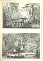 An illustration from Kolonisatie van Europeanen te Suriname. Opheffing van het pauperisme, ontwikkeling van handel en industrie, met ongeveer 90 platen (1872)