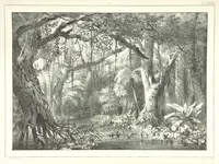 An illustration from Kolonisatie van Europeanen te Suriname. Opheffing van het pauperisme, ontwikkeling van handel en industrie, met ongeveer 90 platen (1872)