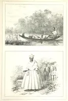 An illustration from Kolonisatie van Europeanen te Suriname. Opheffing van het pauperisme, ontwikkeling van handel en industrie, met ongeveer 90 platen (1872)
