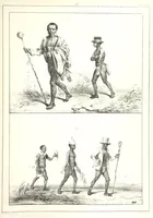 An illustration from Kolonisatie van Europeanen te Suriname. Opheffing van het pauperisme, ontwikkeling van handel en industrie, met ongeveer 90 platen (1872)