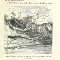 Picture 34 of 127 from The Half Hour Library of Travel, Nature and Science for young readers (1896), leaf 105