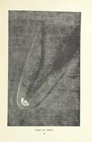 Picture 50 of 127 from The Half Hour Library of Travel, Nature and Science for young readers (1896), leaf 161