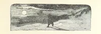Picture 83 of 127 from The Half Hour Library of Travel, Nature and Science for young readers (1896), leaf 253