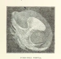 Picture 94 of 127 from The Half Hour Library of Travel, Nature and Science for young readers (1896), leaf 289