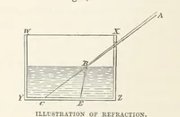 Picture 121 of 127 from The Half Hour Library of Travel, Nature and Science for young readers (1896), leaf 360