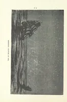 Picture 123 of 127 from The Half Hour Library of Travel, Nature and Science for young readers (1896), leaf 369