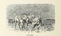 Picture 26 of 127 from The Half Hour Library of Travel, Nature and Science for young readers (1896), leaf 88