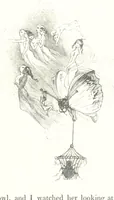An illustration from Midsummer Eve: a fairy tale of love (1848)