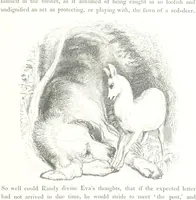 An illustration from Midsummer Eve: a fairy tale of love (1848)
