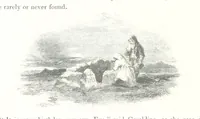 An illustration from Midsummer Eve: a fairy tale of love (1848)