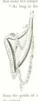 Picture 122 of 192 from Midsummer Eve: a fairy tale of love (1848), leaf 188
