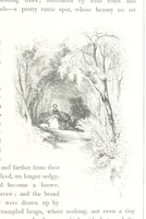 An illustration from Midsummer Eve: a fairy tale of love (1848)